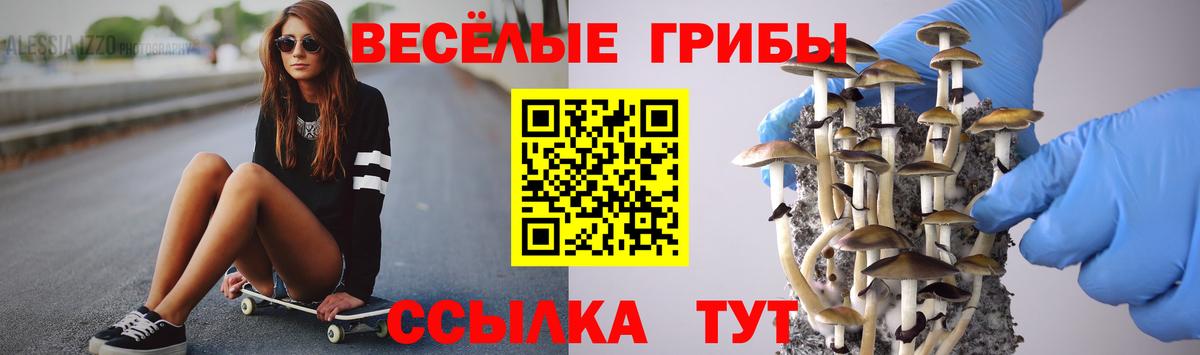 Улан-Удэ  Галлюциногенные грибы Psilocybine cubensis  Вход с VPN  Псилоцибиновые грибы GOLDEN TEACHER 